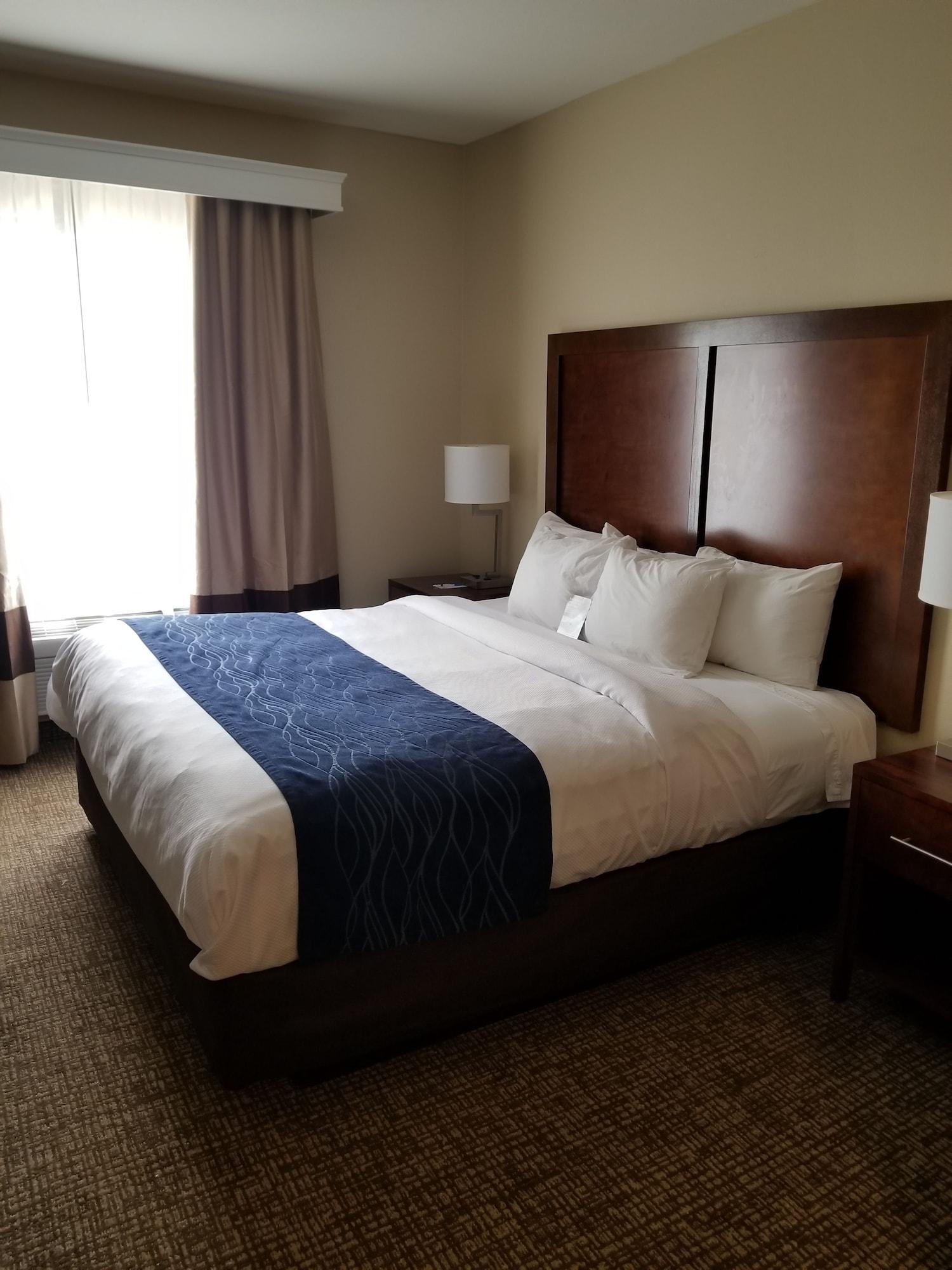 Sonesta Essential - Baton Rouge Airport Hotell Exteriör bild